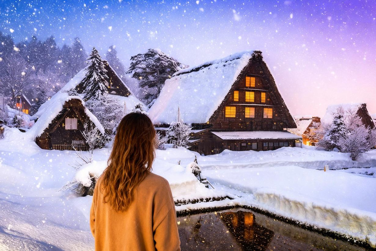 Shirakawa-go Snow Illumination Festival Tour from Nagoya VIP Small group up to 9-guests