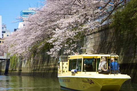 Tokyo: Cherry Blossom River Cruise on Private Boat (Private Boat) 30min Cruise from Gotanda Pier