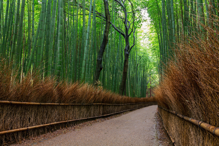 Osaka/Kyoto: Katsuoji & Arashiyama & Kinkakuji Day Tour 9:00 AM Depart from Kyoto