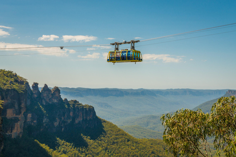 Blue Mountains Tour w/Lunch: Scenic World, Zoo & Koala Photo