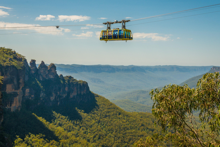 Blue Mountains Tour w/Lunch: Scenic World, Zoo & Koala Photo