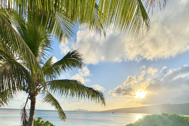 هونولولو: نزهة فاخرة على شاطئ البحر ورسمهونولولو: نزهة فاخرة على شاطئ البحر وتجربة الرسم