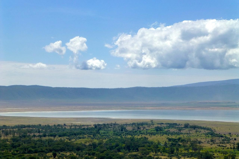 Safari Privado en Camping de 8 Días y 7 Noches por Kenia y Tanzania