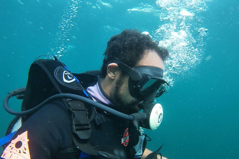Hammamet: Guided Shore Dive for Beginners with Gear