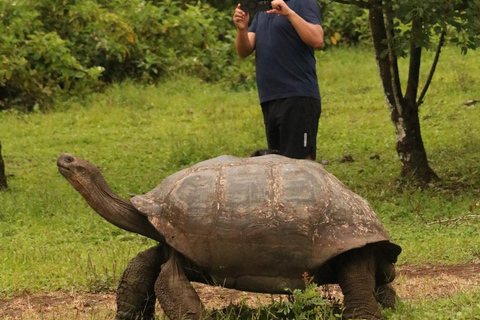 Santa Cruz: Epic Adventure with Lava Tubes and Giant Turtles Santa Cruz: Epic lava tunnel adventure and giant turtles