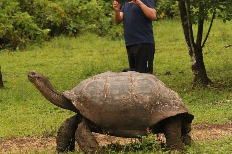 Santa Cruz: Epic Adventure with Lava Tubes and Giant Turtles Santa Cruz: Epic lava tunnel adventure and giant turtles