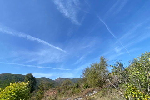 From Tirana/Durres: THINK GLOBAL, ACT AS A LOCAL