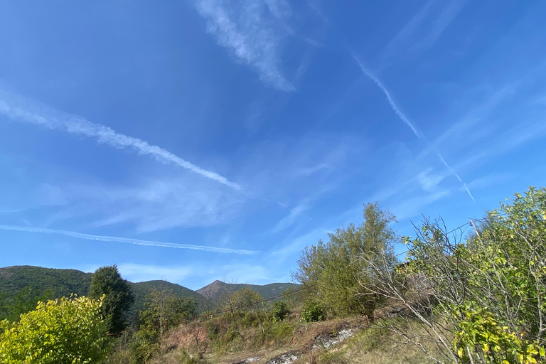 From Tirana/Durres: THINK GLOBAL, ACT AS A LOCAL