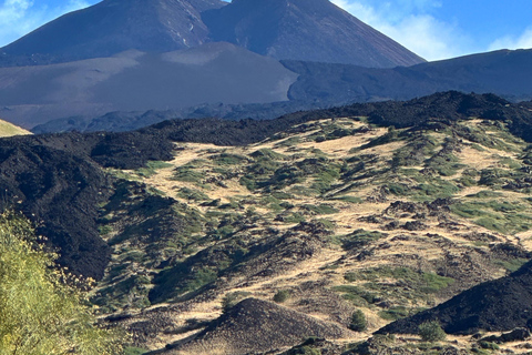 Catania: Etna Tour with licensed Tour Guide pickup & drop-of