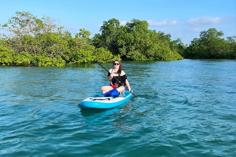 Zanzibar: Stone town tour and Mangrove Kayaking Experience. This tour include hotel transfer go and return.