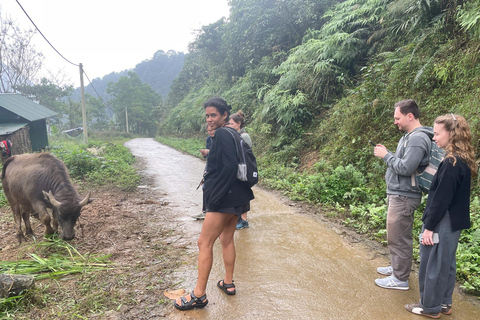 Hanoi: 2-Day Pu Luong Trekking & Resort balcony room Option 1: Balcony Mountain View Room at Resort