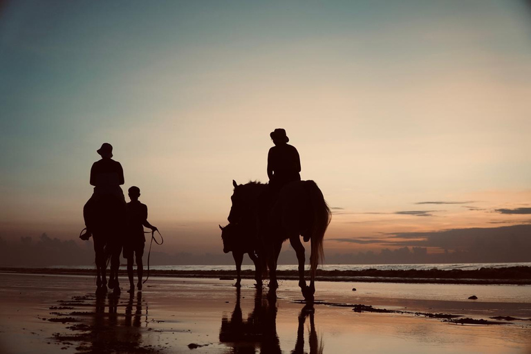 Bali: Sunrise Horse Riding Sanur Beach Experience 1 Hour Ride Include Hotel Transfer
