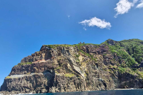 Corvo Island: Full Tour with Boat, Transfers, and Guide Corvo Island: Full Tour with Boat, Transfers, and Guide Included