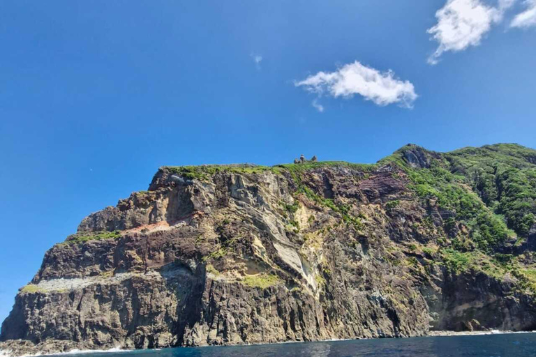 Corvo Island: Full Tour with Boat, Transfers, and Guide Corvo Island: Full Tour with Boat, Transfers, and Guide Included