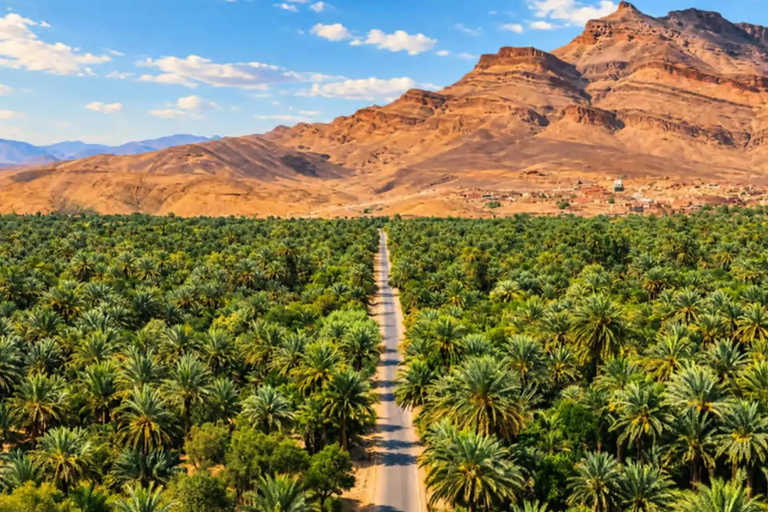 From Marrakech: 2-Day Zagora Desert Tour via Ait Benhaddou