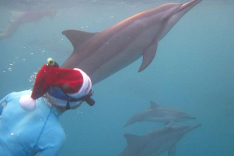 Bohol Dolphin Watching & Sea Turtle Swim Island Hopping Tour Pier – Meet-up Point