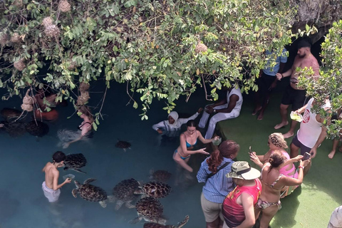 ZANZIBAR: Odkryj farmę przypraw i popływaj z żółwiami w jaskini SalaamWYCIECZKA PRYWATNA – TRANSPORT NIE JEST WLICZONY W CENĘ