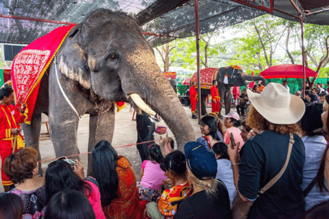 Da Bangkok: Escursione di un giorno ad Ayutthaya, sito patrimonio mondiale dell&#039;umanità UNESCO