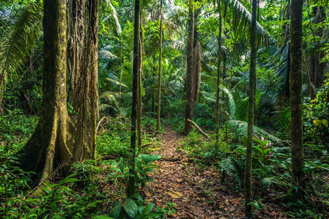 Manu: 8-Day Amazon Wildlife & Jungle Expedition