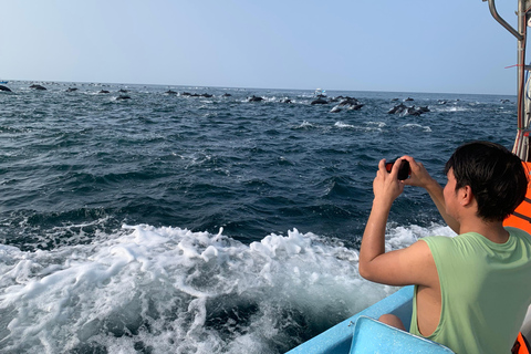 Puerto Escondido: Bootstour zu Delfinen und MeerestierenPrivate Tour