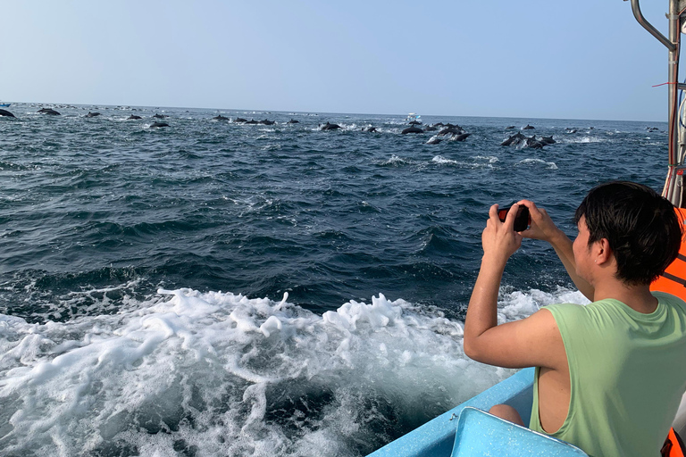 Puerto Escondido: Bootstour zu Delfinen und MeerestierenPrivate Tour