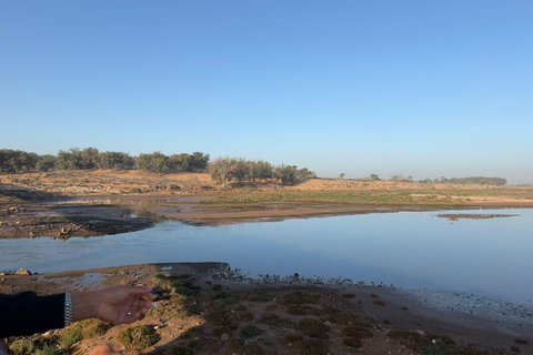 Agadir: Souss Massa 4WD Desert Safari with Lunch