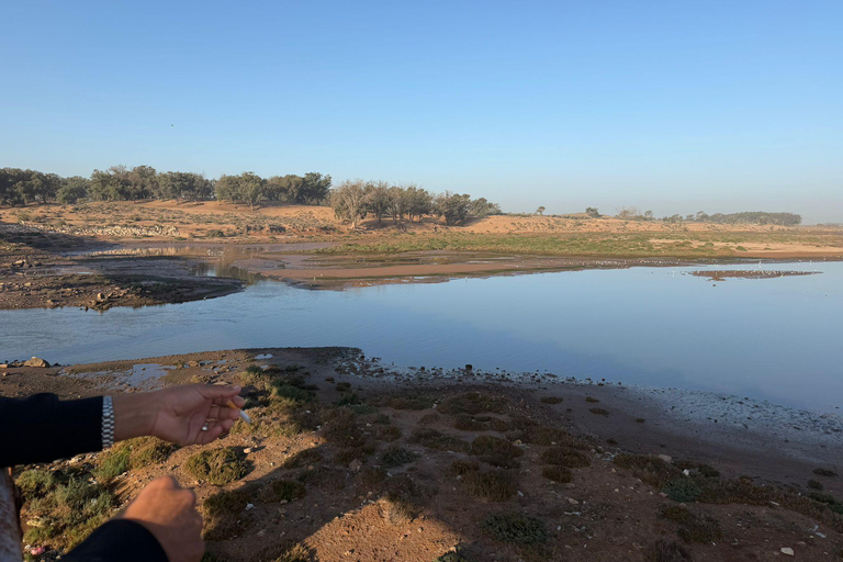 Agadir: Souss Massa 4WD Desert Safari with Lunch