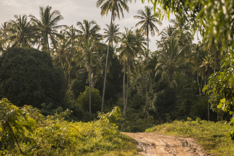 Zanzibar: Fyrhjulingsoffroadäventyr | KiwengwaByupptäcktsresa – utan transfer