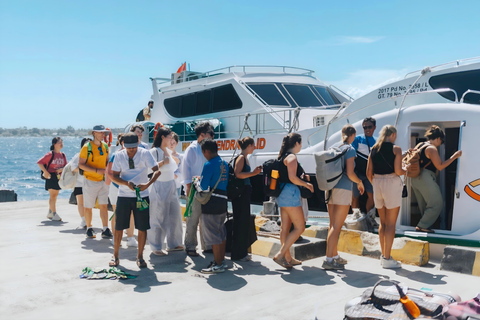 From Bali: Gili Island Snorkeling Day Trip with Hotel Pickup