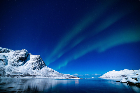 Remote Arctic Fjord Expedition to Grøtfjord & Rekvik