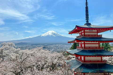 From Tokyo: Mount Fuji Full Day Customizable Private Tour