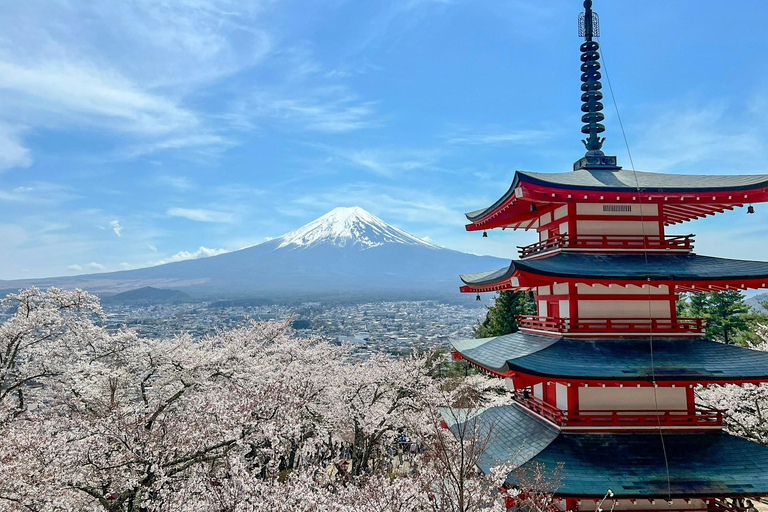 From Tokyo: Mount Fuji Full Day Customizable Private Tour