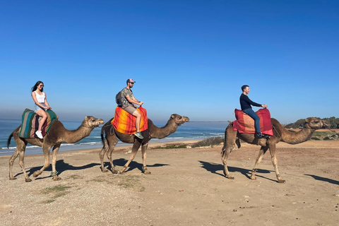 De Tanger: Cavernas de Hércules e Cap Spartel com passeio de camelo