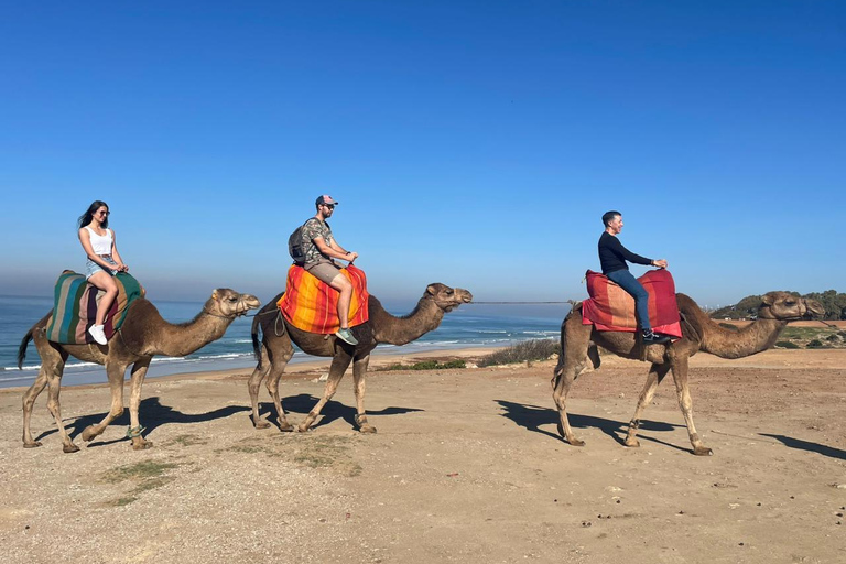 De Tanger: Cavernas de Hércules e Cap Spartel com passeio de camelo