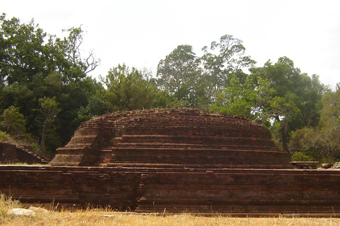From Anuradhapura: Trincomalee Guided Heritage Tour