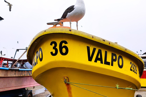 Santiago: Private Transfer To San Antonio via Valparaiso