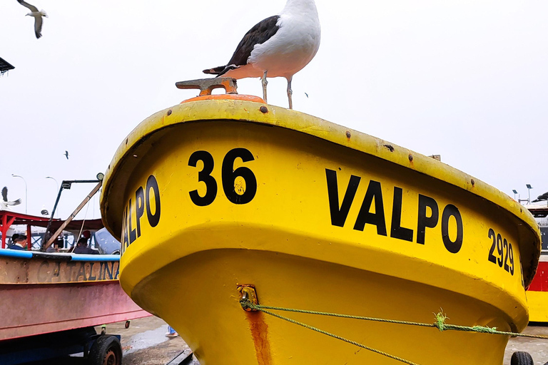 Santiago: Private Transfer To San Antonio via Valparaiso