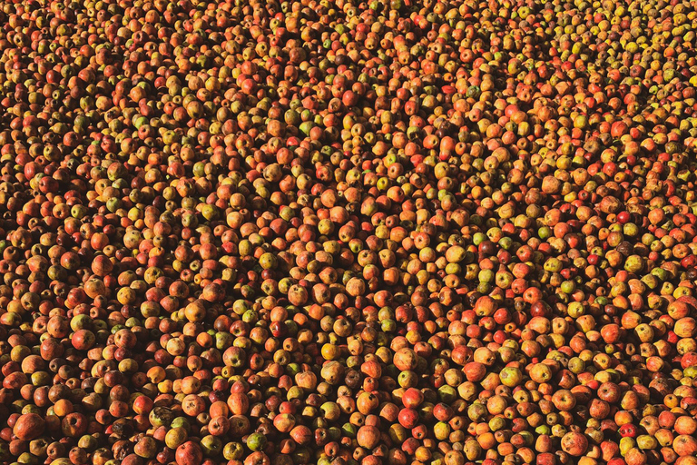 Calvados: the art of making Coquerel Calvados and Normindia Gin