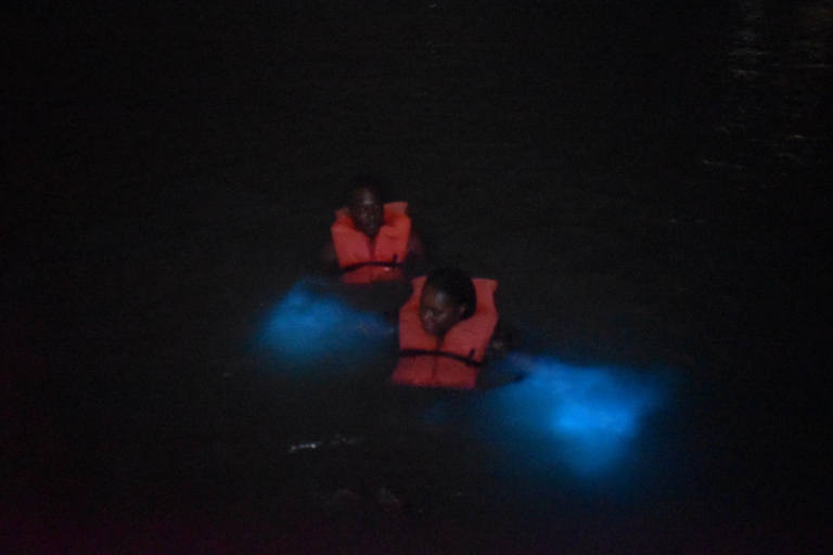 Montego Bay: Sunset Catamaran Cruise & Bioluminescent Lagoon