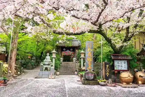 Fukuoka: Beppu Hells, Yufuin & Frog Temple Day Tour