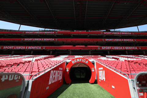 Lisbon: Slide in Sport Lisboa e Benfica Stadium Slide & Stadium Tour with Scarf