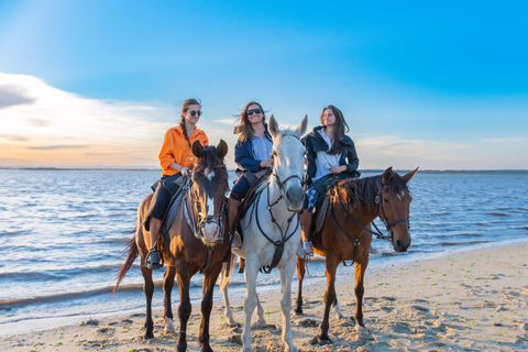 Passeios a cavalo na praia - PDTPasseios a cavalo na praia em grupo