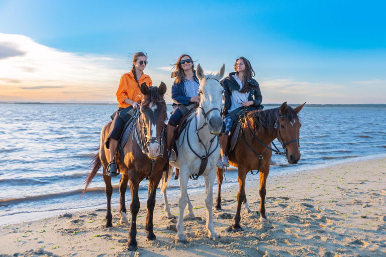 Passeios a cavalo na praia - PDTPasseios a cavalo na praia em grupo