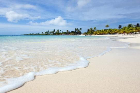 Private: Catalina Island Snorkeling &amp; BBQ Boat Tour