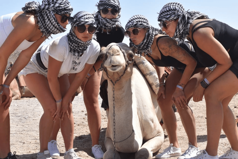 Hurghada: Desert Quad Bike, ATV with BBQ and TransferSunset BBQ: Desert Quad Bike, ATV with BBQ &amp; Transfer