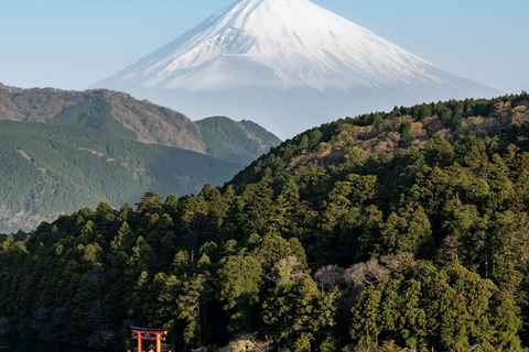 From Tokyo: Mount Fuji Full Day Customizable Private Tour