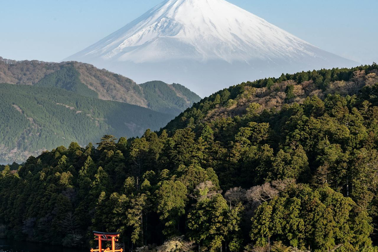 From Tokyo: Mount Fuji Full Day Customizable Private Tour