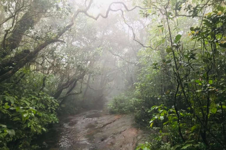 Knuckles Mountain Range: Kotaganga Waterfall Chain Hike