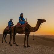 Marrakech Agafay Quad Tour with Camel Ride Dinner Show