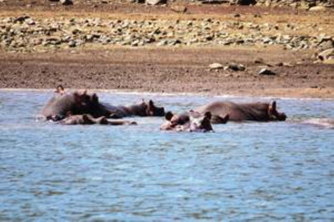 Hoedspruit: Blyde Dam Boat Cruise Blyde River Canyon: Blyde Dam Boat Cruise
